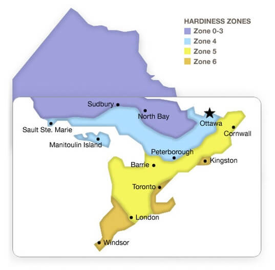 Plant Hardiness Zones Ontario Map Hardiness Zones Ontario | Dutchmaster Nurseries | Ontario